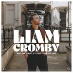 cover: Liam Cromby - What Can I Trust, If I Can't Trust True Love (Explicit)