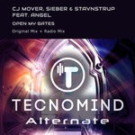 cover: Angel|Sieber & Stavnstrup|Cj Mover - Open My Gates