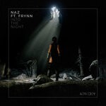 cover: Frynn|Naz - Into The Night