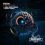 cover: Fizch - The Nite