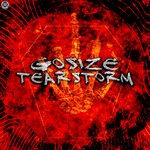 cover: Gosize - Tearstorm