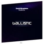 cover: David Mcquiston - Resilience