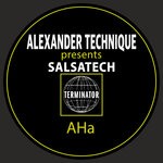 cover: Alexander Technique - Salsatech - Part 1