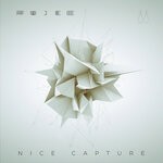 cover: Fujee - Nice Capture