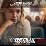 cover: David Surok - I Never Forget You