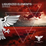 cover: Liquidized Elements - Senses