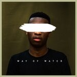 cover: Omir Kai - Way Of Water