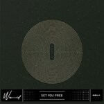 cover: Wiwid - Set You Free