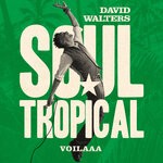 cover: David Walters - Soul Tropical (Voilaaa Remix)