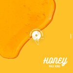 cover: Max King|Static Disco - Honey