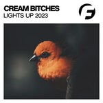 cover: Cream Bitches - Lights Up (Mike La Costa Remix)