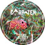 cover: Carpaten - Toxic Beauty Vip