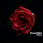 cover: Transed - Trax