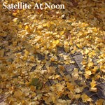 cover: Woolvs - Satellite At Noon