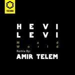 cover: Hevi Levi - Mad World (Amir Telem Remix)