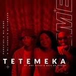 cover: Dj Lindash|Ms Bune|Purevibe - Tetemeka