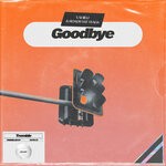 cover: Roads We Walk|Vahidj - Goodbye