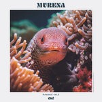 cover: Rasmus Vels - Murena EP