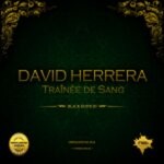 cover: David Herrera - Trainee De Sang (Original Mix)