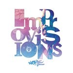 cover: Nookie - Improvisions