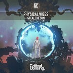 cover: Physical Vibes - Steal The Sun