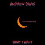 cover: Andrew Davis - What I Want