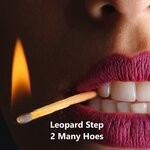 cover: Leopard Step - 2 Many Hoes (Explicit)