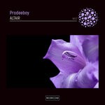 cover: Prodeeboy - Altair