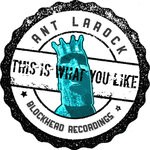 cover: Ant Larock - This Is What You Like