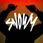 cover: Snowy - Tear It Down