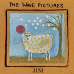 cover: The Wave Pictures - Jim