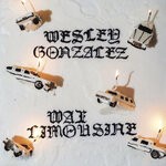 cover: Wesley Gonzalez - When I Fell For You