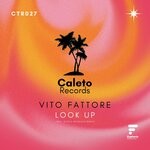 cover: Vito Fattore - Look Up