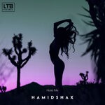 cover: Hamidshax - Hold Me