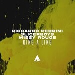 cover: Slicerboys|Missy Rouge|Riccardo Pedrini - Ding A Ling