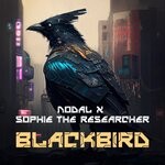 cover: Nodal|Sophie The Researcher - Blackbird