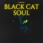 cover: Yesimeow - Black Cat Soul