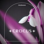 cover: ChicElement - Crocus