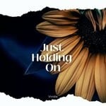 cover: Vividie - Just Holding On