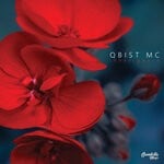 cover: Qbist Mc - Inner Peace