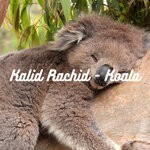 cover: Kalid Rachid - Koala