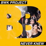 cover: Bwk Project - Never Knew