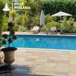 cover: Wolky - Wellama