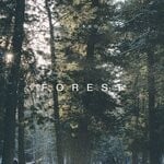 cover: Iniago - Forest