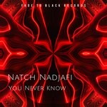 cover: Natch Nadjafi - You Never Know