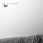 cover: Low Profile - Grey Lines