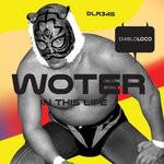 cover: Woter - In This Life