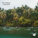 cover: Amaral Borges - Tropical Root