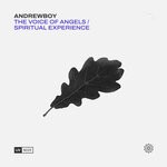 cover: Andrewboy - The Voice Of Angels/Spiritual Experience