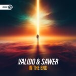 cover: Sawer|Valido - In The End